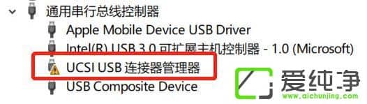 win10Ώصжducsi usb(q)(dng)