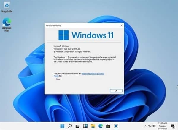 Windows 11ϵy(tng)΢ܛ2025Win 10fҊ