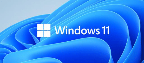 Win11ϵy(tng)ҪXʲô