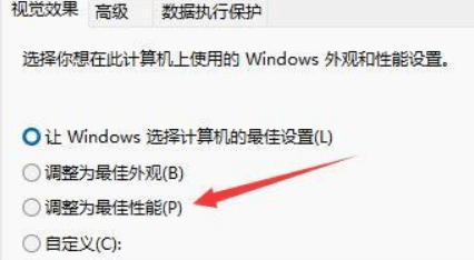 XWin11Dôkwindows11D