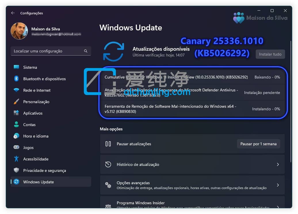 Win11 Canary Build 25336.1010 A(y)[棺H棬o