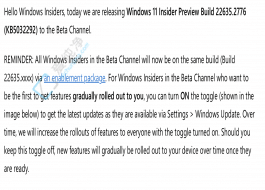 Win11 Beta A(y)[ Build 22635.2776 l(f)M(jn) Windows Ink Teams (yng)ø