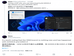 Win11OEM֧汾26100.2