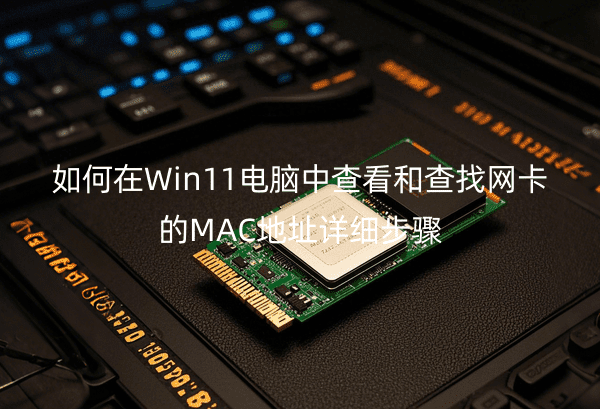 Win11Xв鿴ͲҾW(wng)MACַԔ(x)E